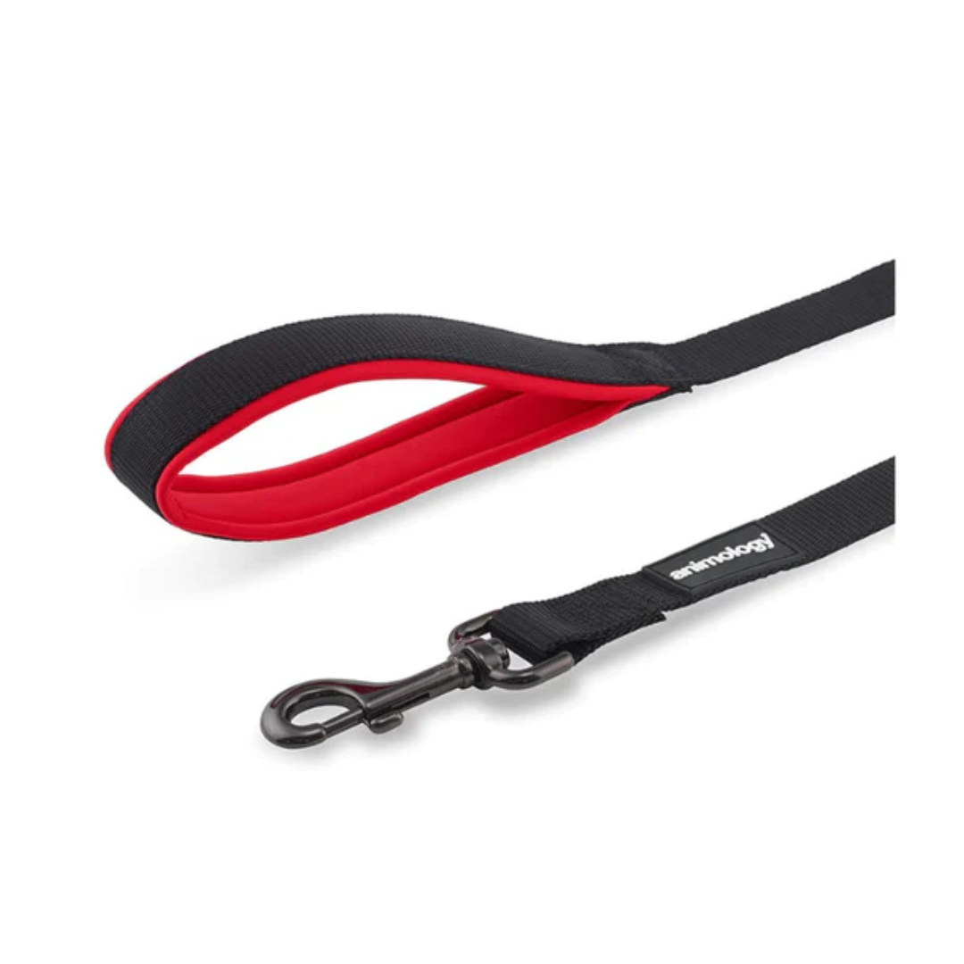 Animology Padded Handle Lead - Red