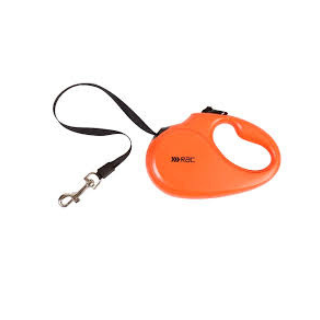 RAC Retractable Lead/ travel safety
