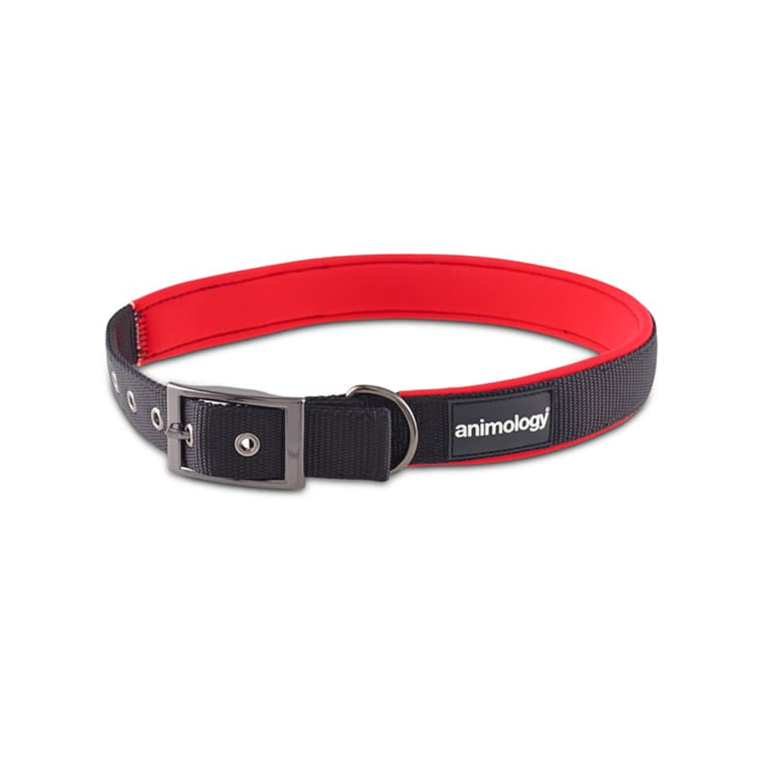 Animology Padded Buckled Collar – Red