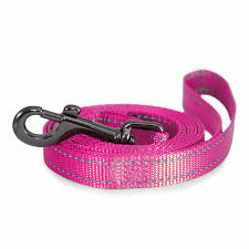 Dogman Leash Pink (15mm×180cm)