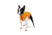 AiryVest Double-sided jacket for dogs S30 orange-lime