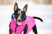 AiryVest Double-sided jacket for dogs - S30 - purple&pink