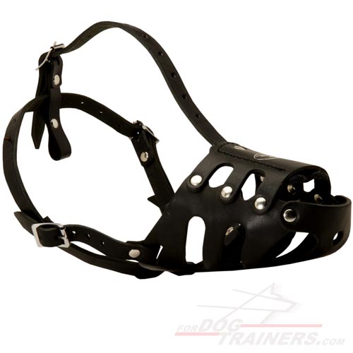 Dog Training- Leather muzzle (Kaukasian & similar) M11-3