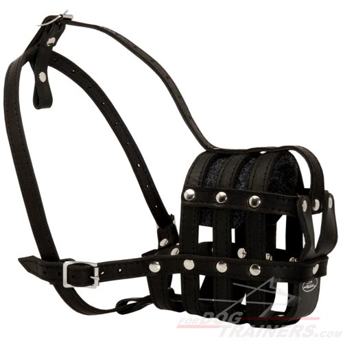 Dog Training- Leather basket muzzle (GSD)
