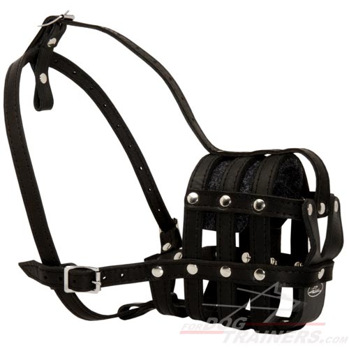Dog Training- Leather basket muzzle (R) M41-R
